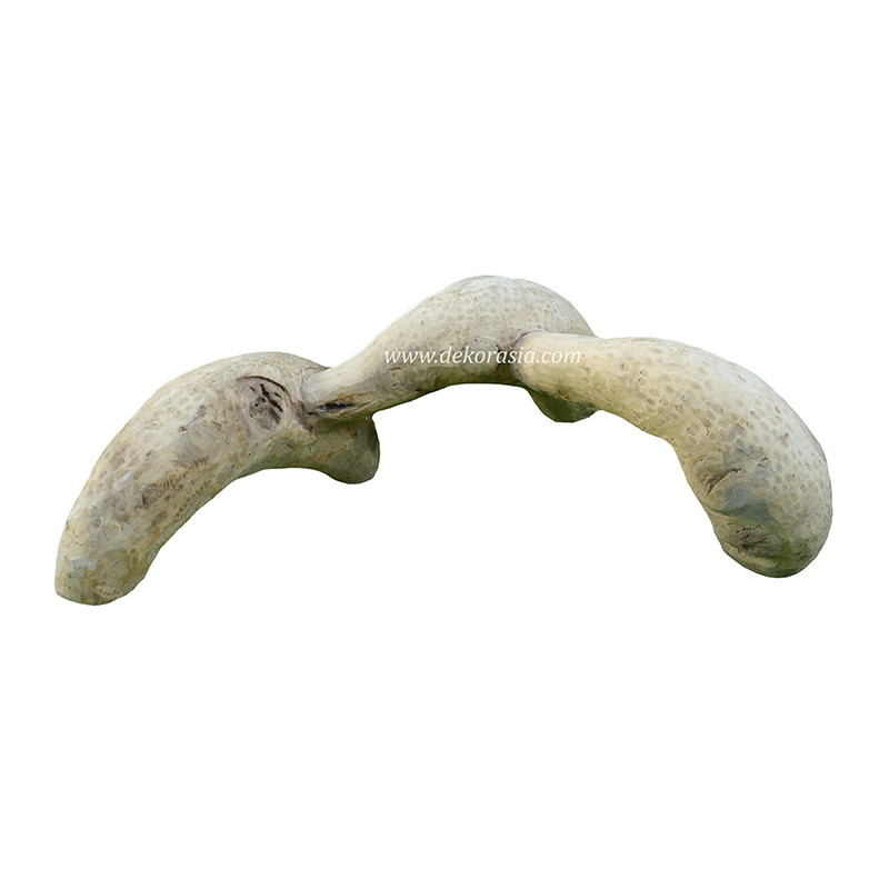 Bamboo Root (Size M), Vivariums Reptile, Aquarium, Aquascaping, Bamboo Root Decor Craft for Reptile